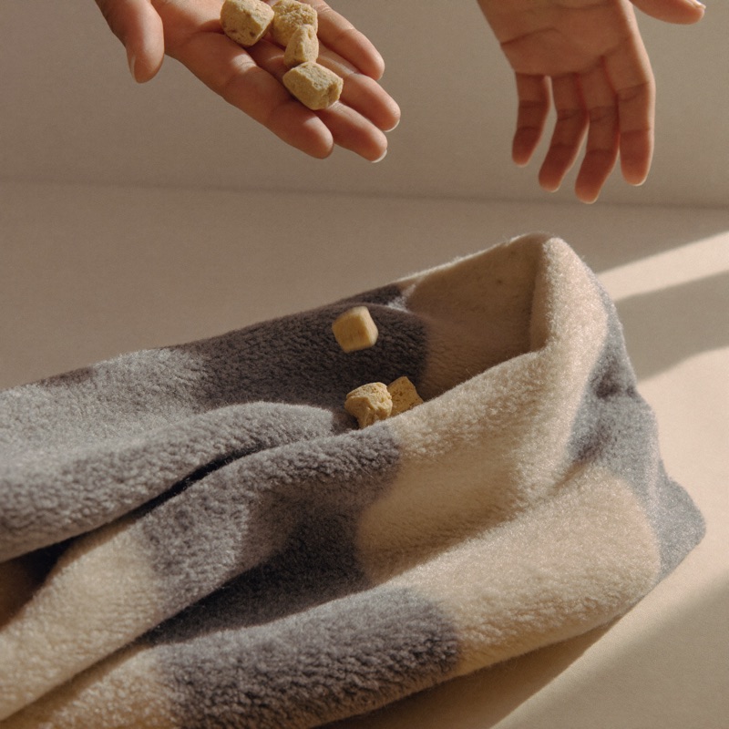 Deux mains dispersent des croquettes dorées sur les plis en tissu gris et crème du tapis de fouille