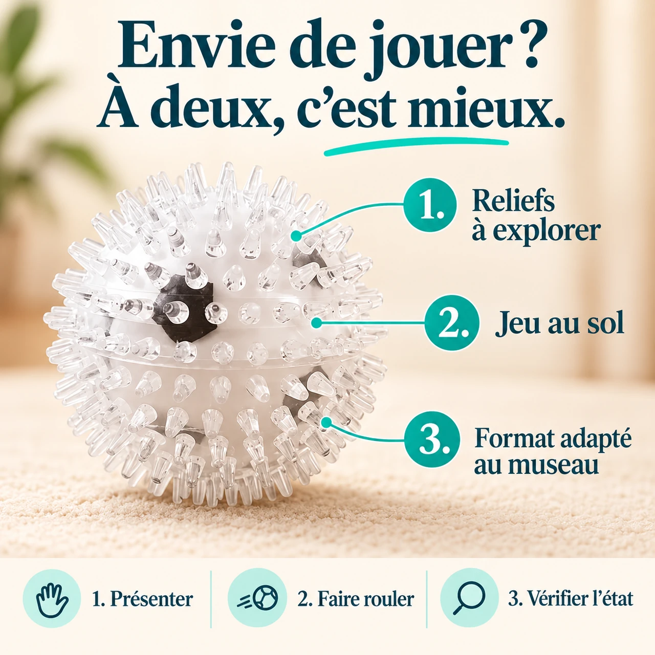 Naïa Senses : caractéristiques et trois gestes expliqués en image